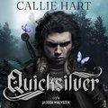 Quicksilver - audiobook