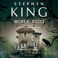 Worek kości - audiobook