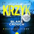 Krzyk - audiobook