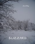 Blizzard - ebooki