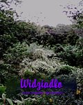Widziadło i inne smętne opowieści - ebook