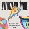 Literatura piękna, beletrystyka: Zwyczajne życie - audiobook