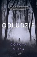 Odludzie - ebook