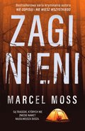 Zaginieni - ebooki