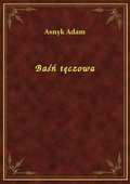 Baśń tęczowa - ebook