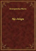 Na śniegu - ebook
