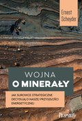 Wojna o minerały. Jak surowce strategiczne decydują o naszej przyszłości energetycznej - ebook