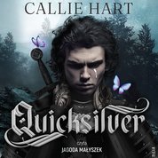 : Quicksilver - audiobook