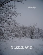 : Blizzard - ebooki