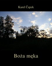 : Boża męka - ebook