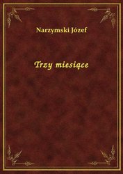 : Trzy miesiące - ebook