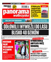 : Panorama Wałbrzyska  - e-wydanie – 13/2022