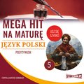 edukacja, materiały naukowe: Mega hit na maturę. Język polski 5. Pozytywizm - audiobook