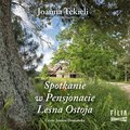 Literatura piękna, beletrystyka: Spotkanie w Pensjonacie Leśna Ostoja - audiobook