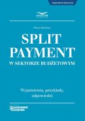 Split payment w sektorze budżetowym - ebook