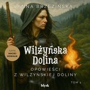 : Opowieści z Wilżyńskiej Doliny - audiobook