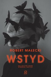 : Wstyd - ebooki