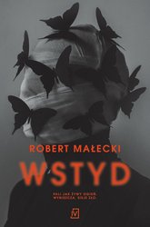 : Wstyd - ebook