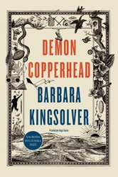 : Demon Copperhead - ebooki