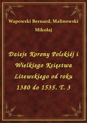 : Dzieje Korony Polskiéj i Wielkiego Księstwa Litewskiego od roku 1380 do 1535. T. 3 - ebook